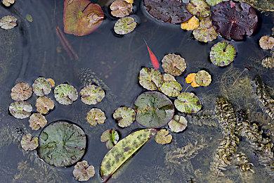 《星际公民》年度外星周活动开启 众筹突破5.9亿美元